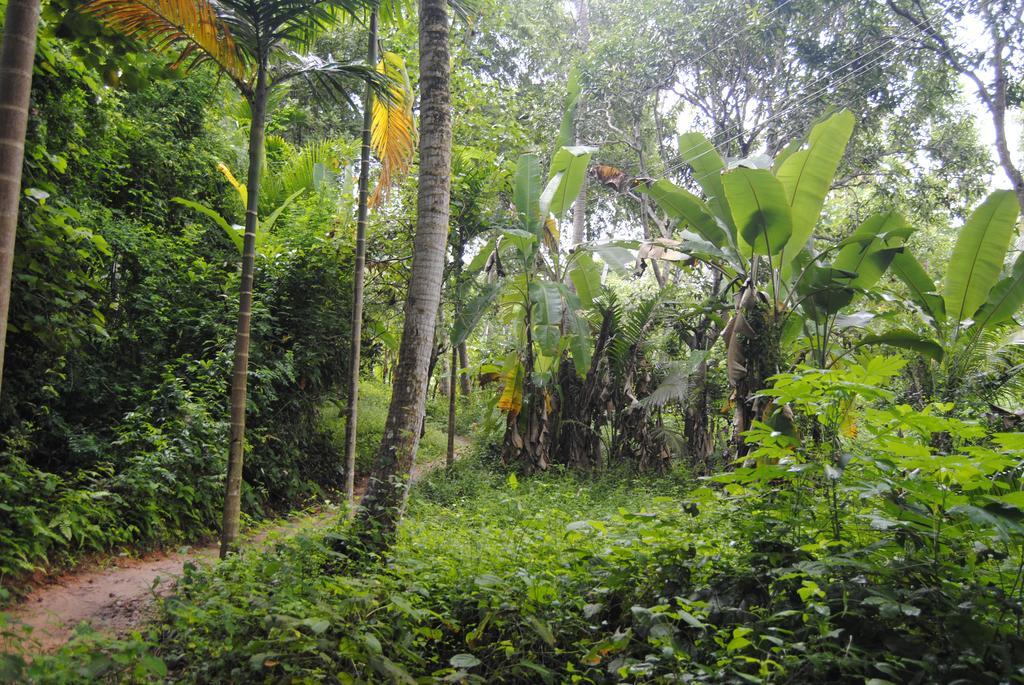 Hill Top Ayurvedic Beach Resort Varkala Exterior photo